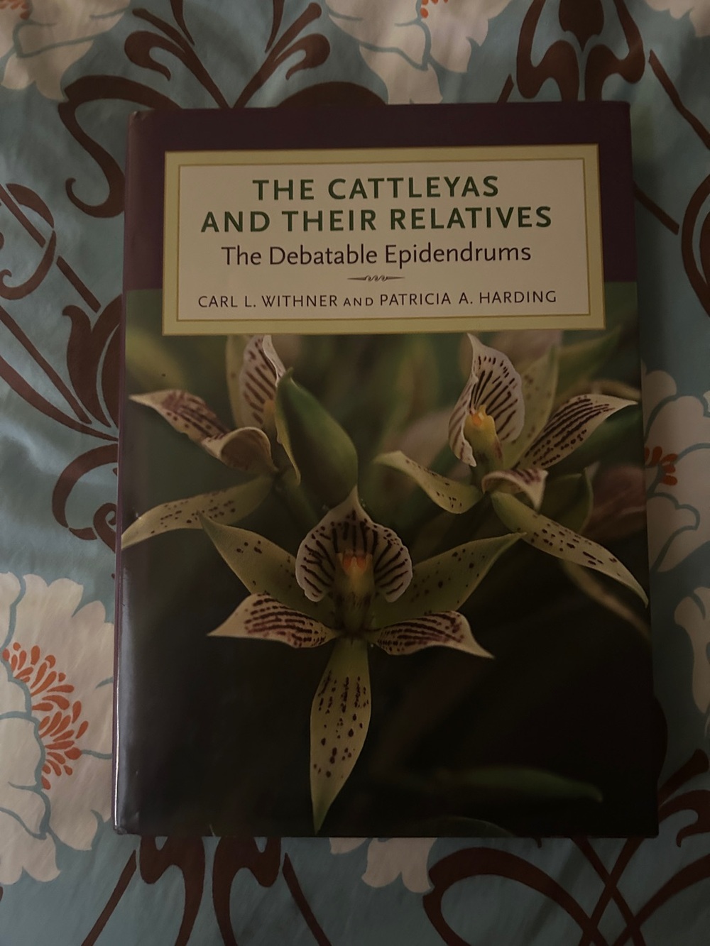 The Cattleyas and Their Relatives: The Debatable Epidendrums